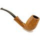 Duca_Conte_Smooth_Bent_Tulip_240909_01