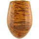 Duca_Conte_Smooth_Bent_Tulip_240909_01c